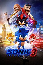 FSM SONIC 3 poster