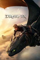 HOW TO TRAIN DRAGON BIG poster
